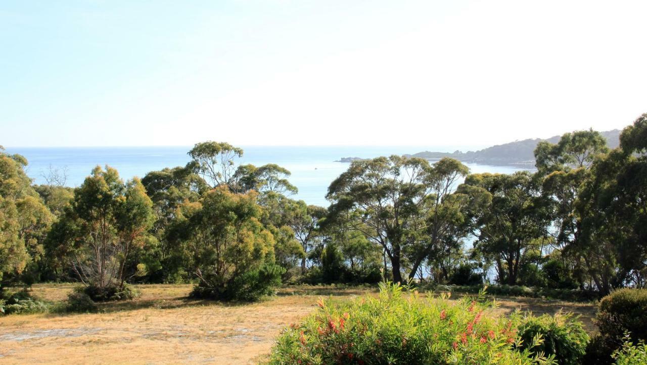 Bay Of Fires Seachange Ocean Frontage Binalong Bay Экстерьер фото