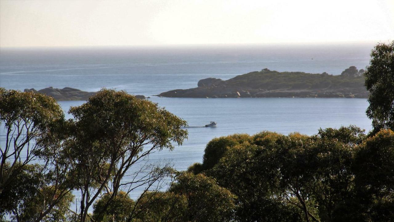 Bay Of Fires Seachange Ocean Frontage Binalong Bay Экстерьер фото